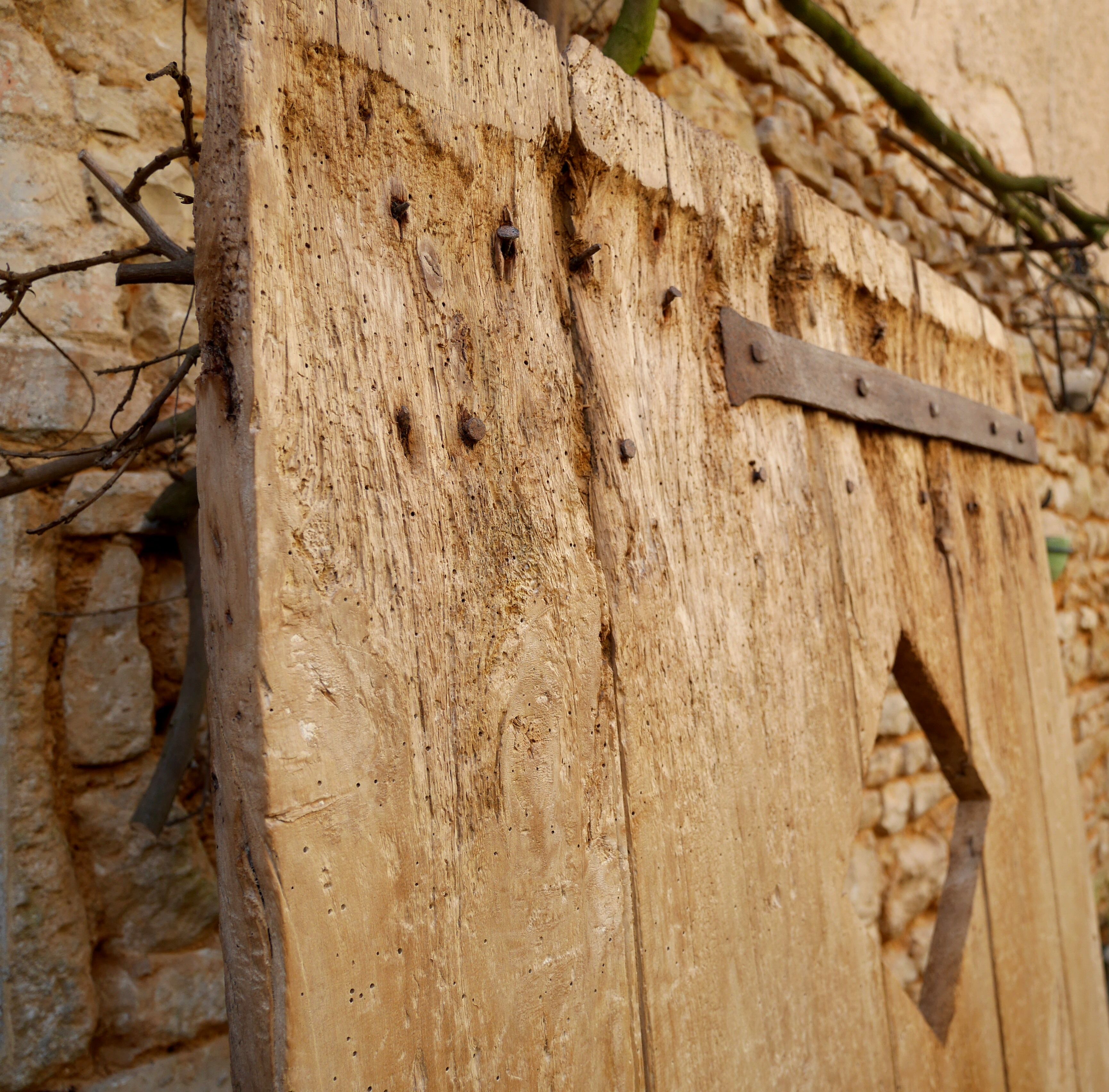 Ancienne porte de ferme cave  bois orme