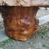 Table basse tronc d'arbre en loupe d'orme