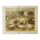 Gravure 1909 - Faune et animaux de l'Artique - Lithographie nature