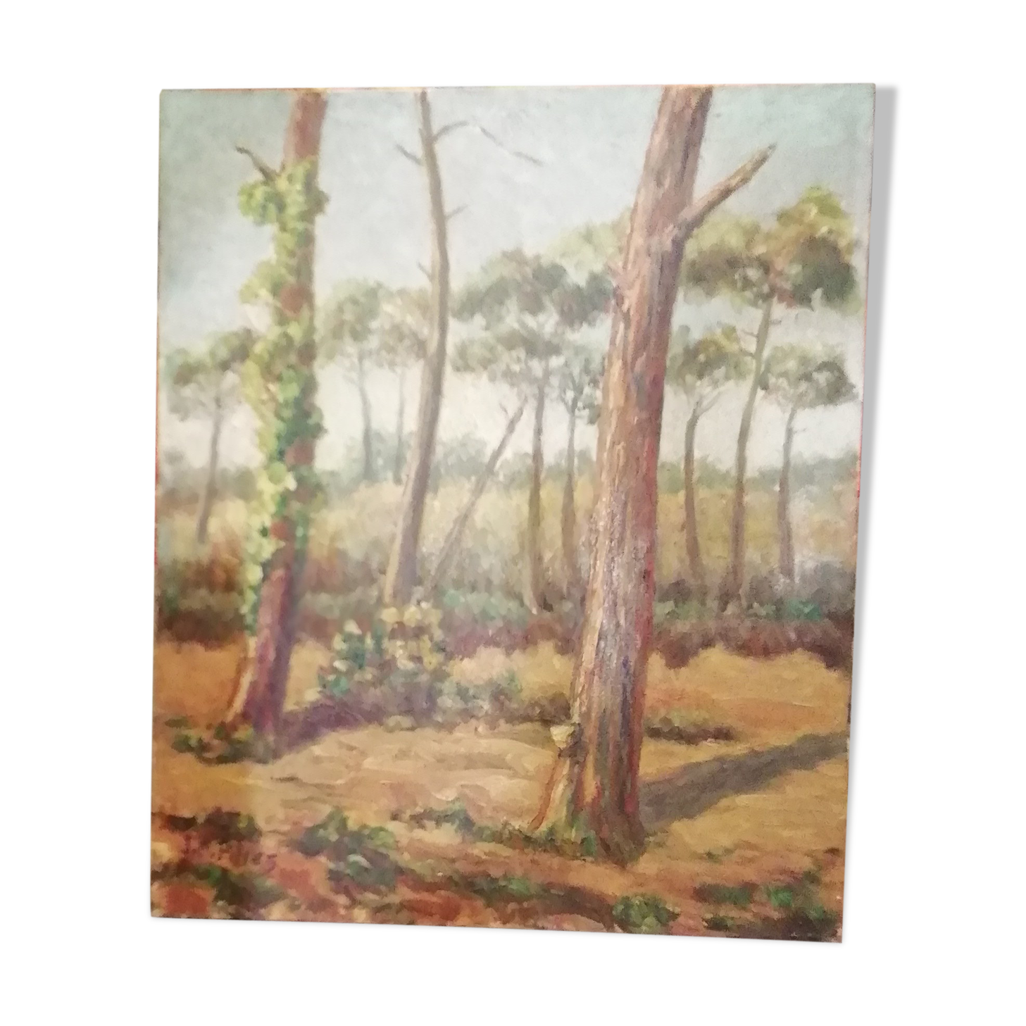 Landscape painting landes 1960