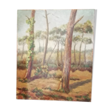 Tableau paysage landais 1960