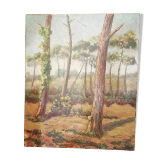 Landscape painting landes 1960