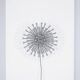 “Pistillo” lamp by Studio Tetrarch for Valenti Luce, 1960s.