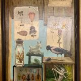 Oil on canvas, natural science composition