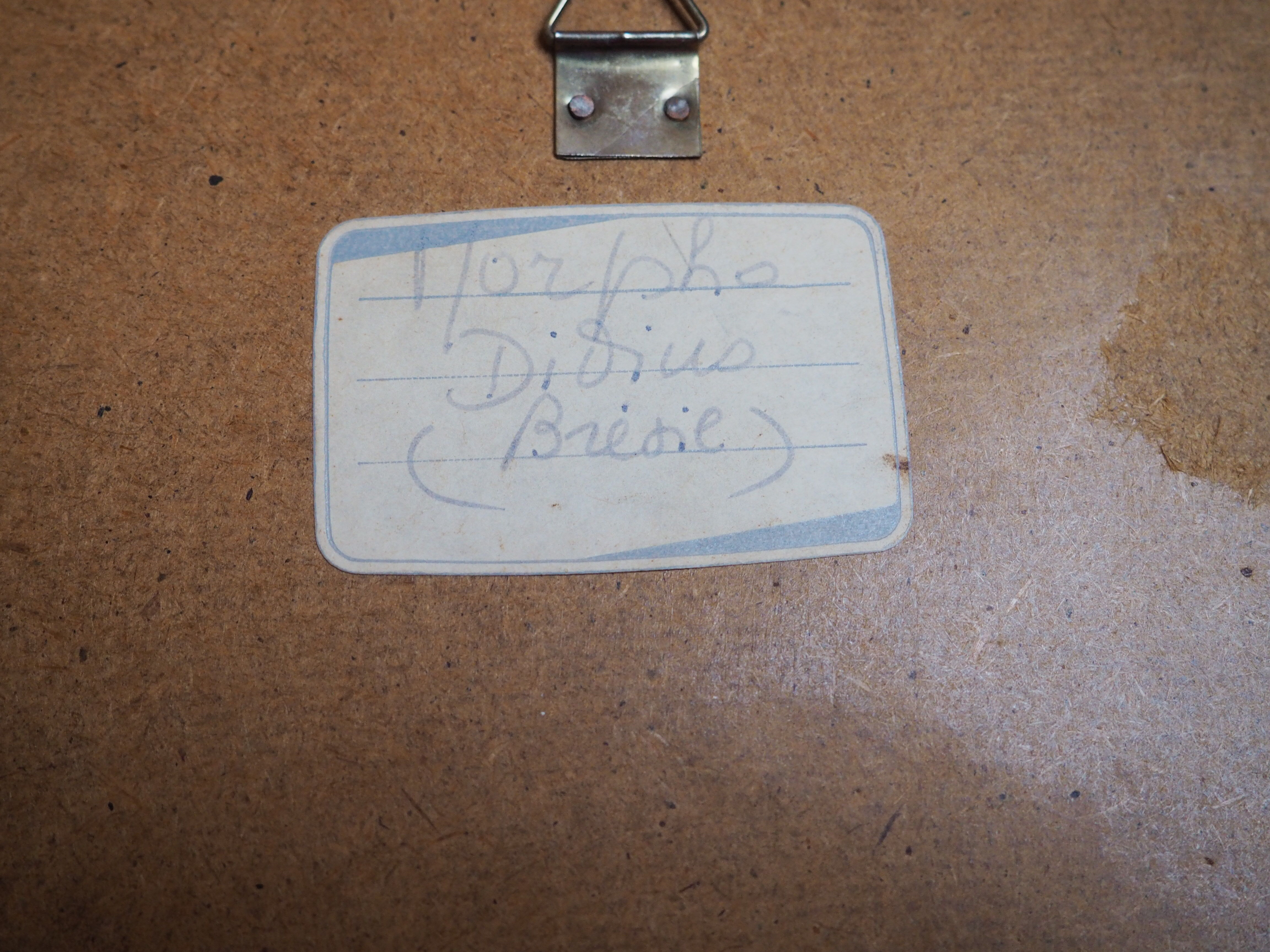 Former executive butterfly under glass