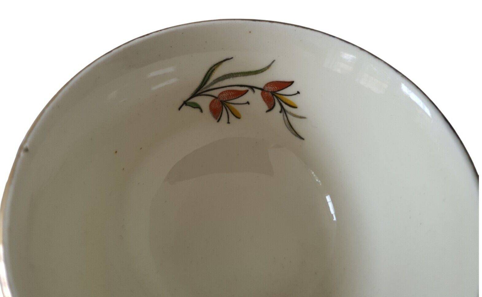 Saverne Céranord Saint Amand Semi Vitrified Tea Service 12 Pieces 1960s