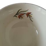 Saverne Céranord Saint Amand Semi Vitrified Tea Service 12 Pieces 1960s