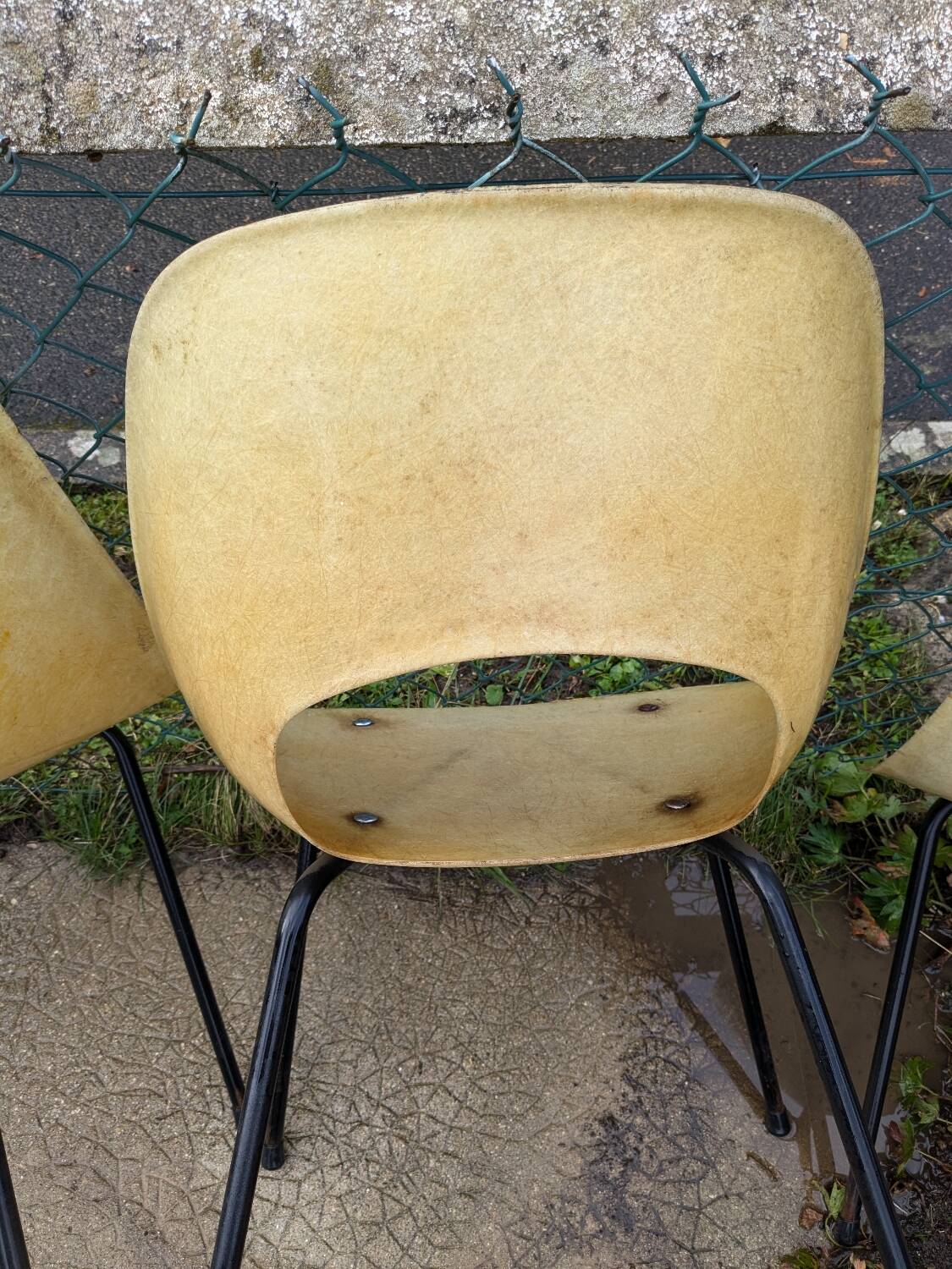 Lot de 6 chaises pierre guariche