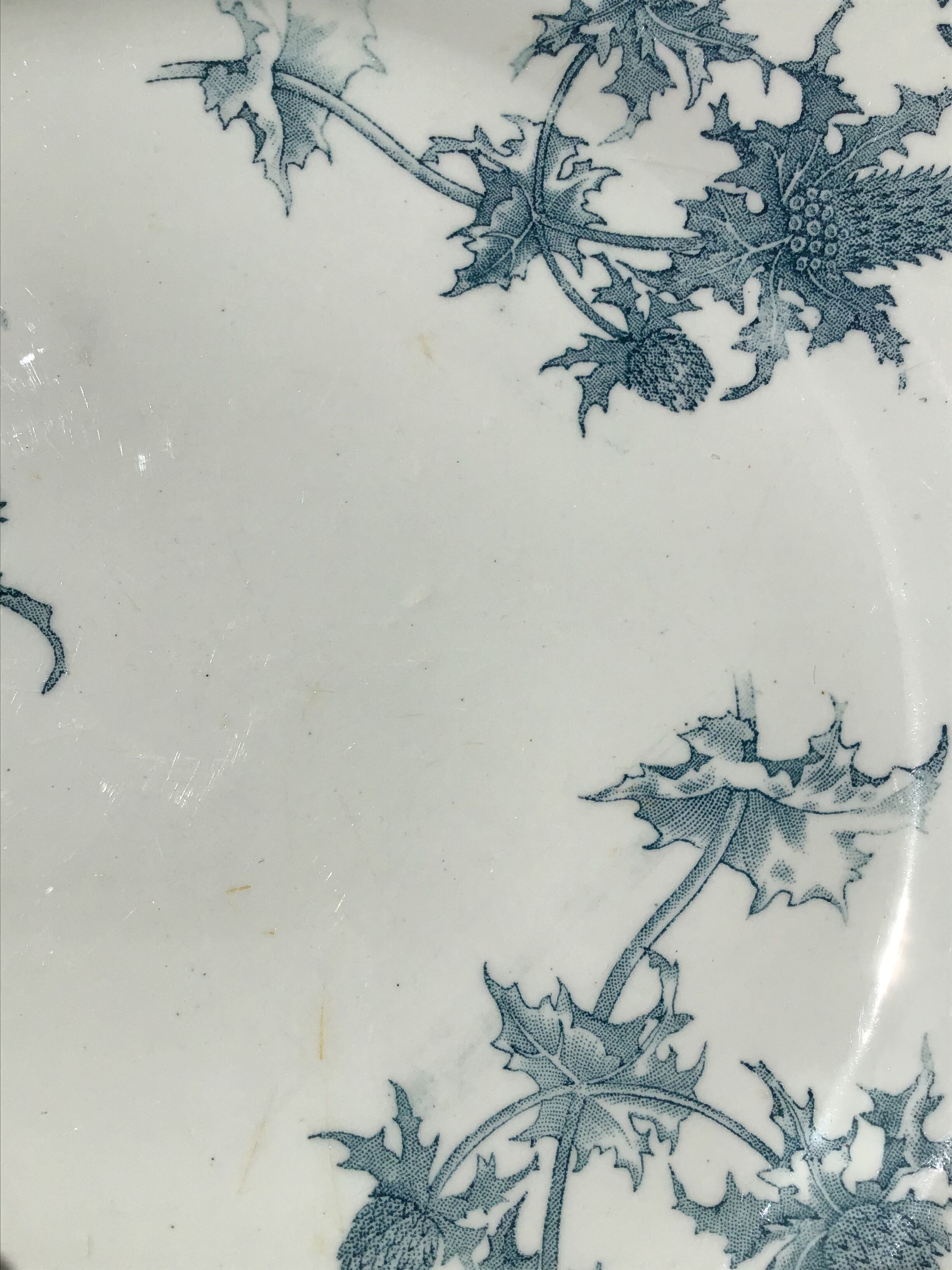 Iron Earth dishes thistle 29 and 32cm L.G Righi blue ink