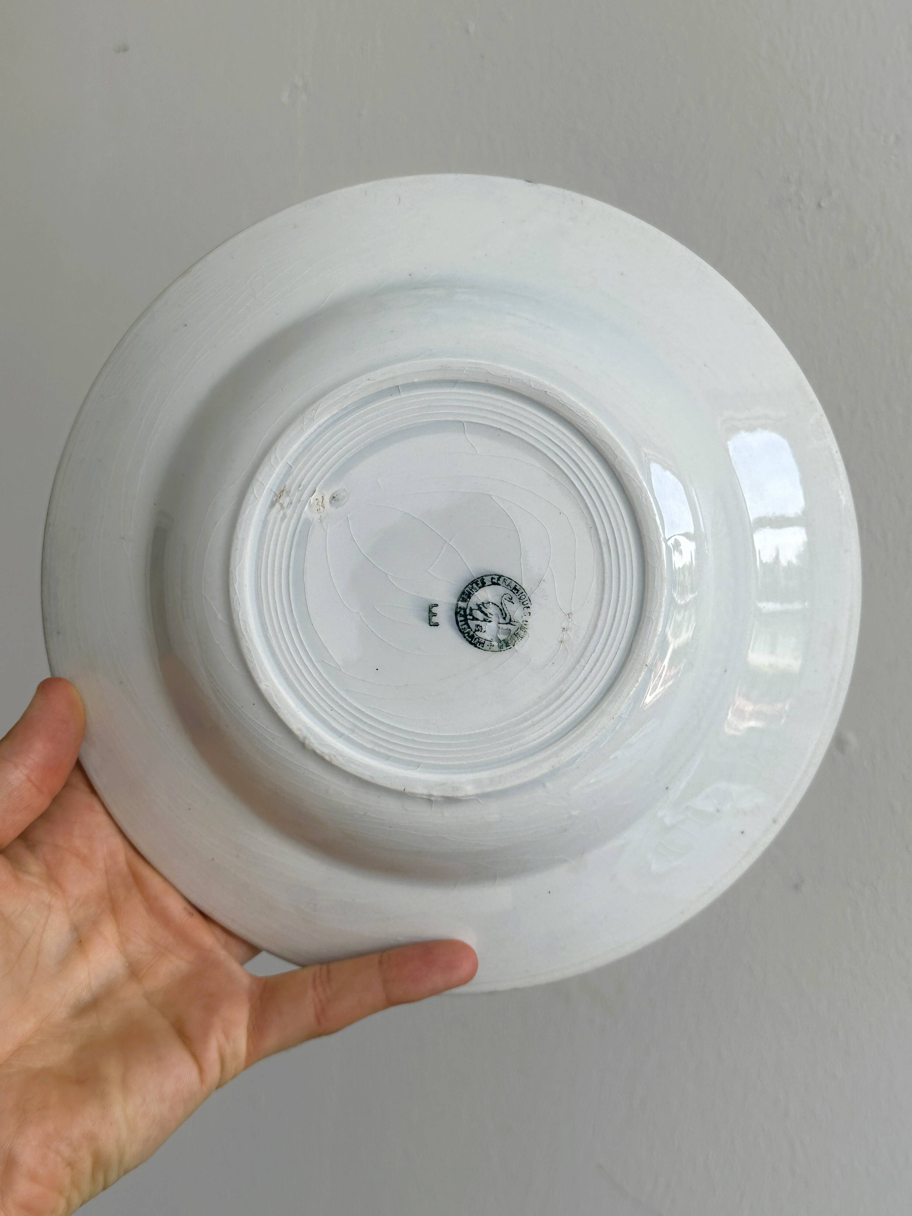 5 iron earthenware soup plates