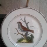 Assiettes Paradiso