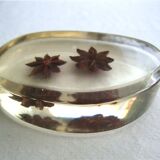 Paper press inclusion of star anise