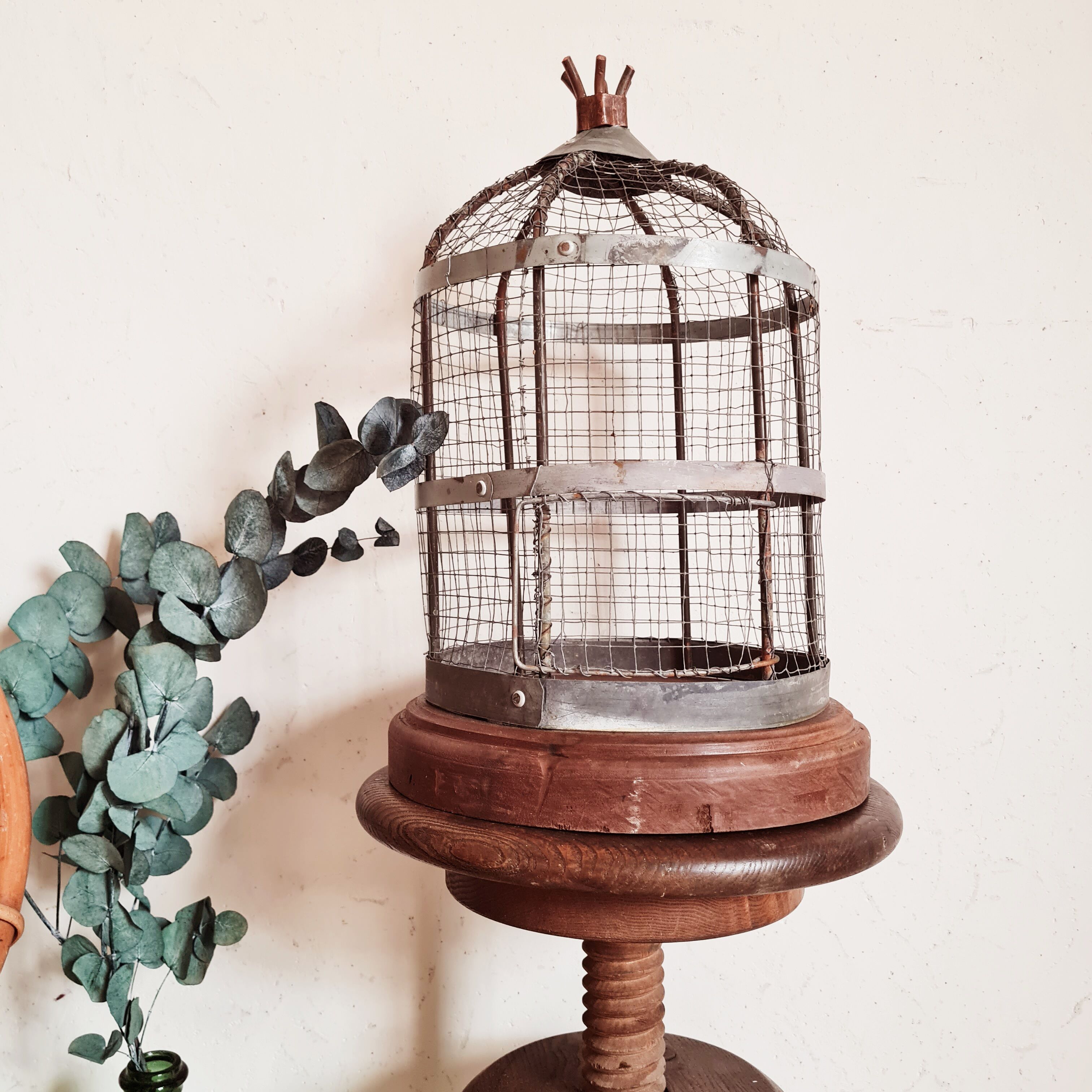 Ancient bird cage