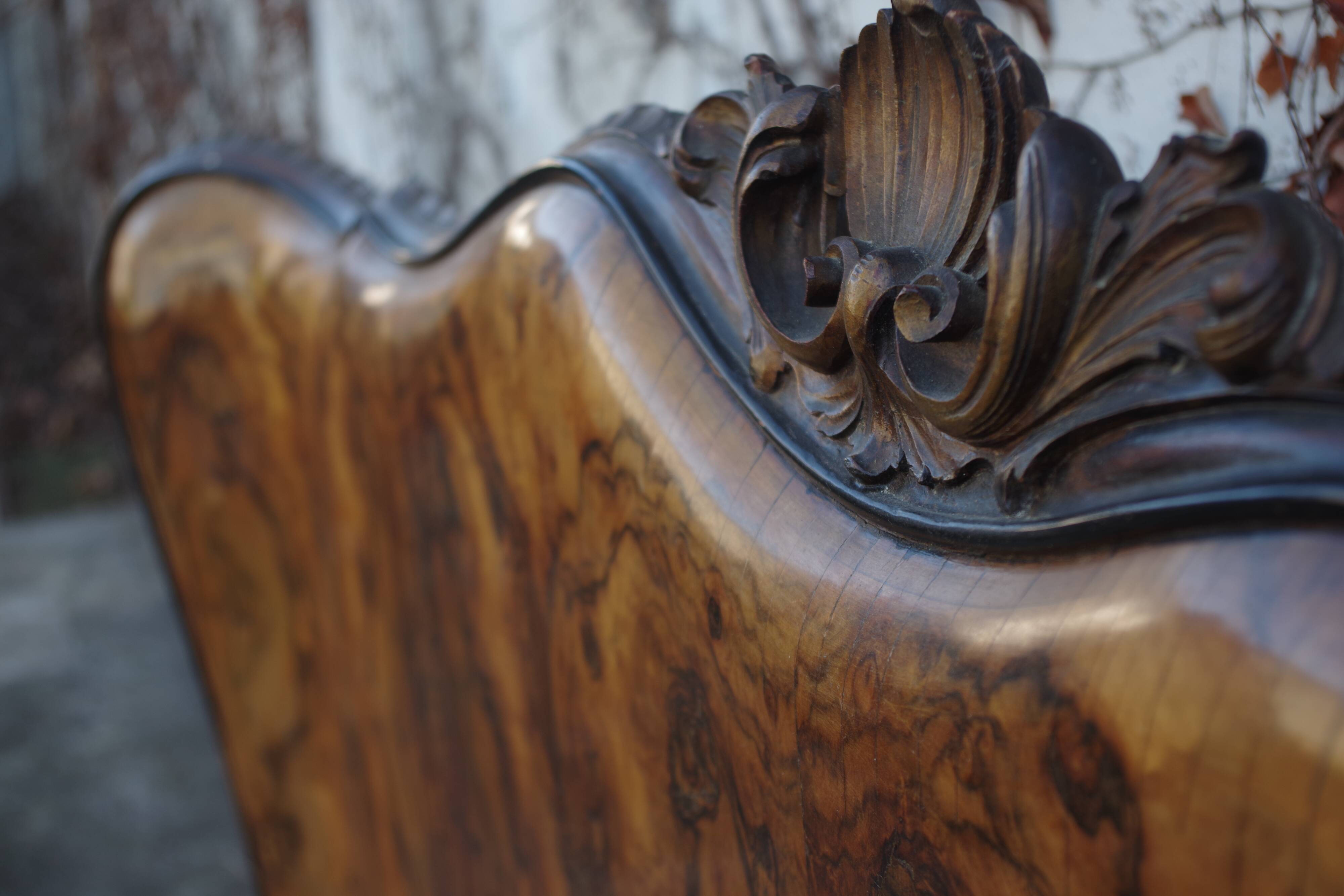 Rounded Walnut Burl Double Bed, 1950s
