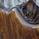 Rounded Walnut Burl Double Bed, 1950s