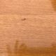 Dining table feet compass 1950 - 6/10 people