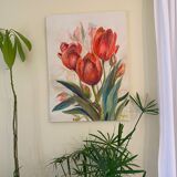 Tulipe canvas