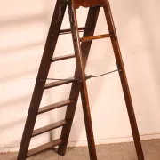 19th-century library ladder