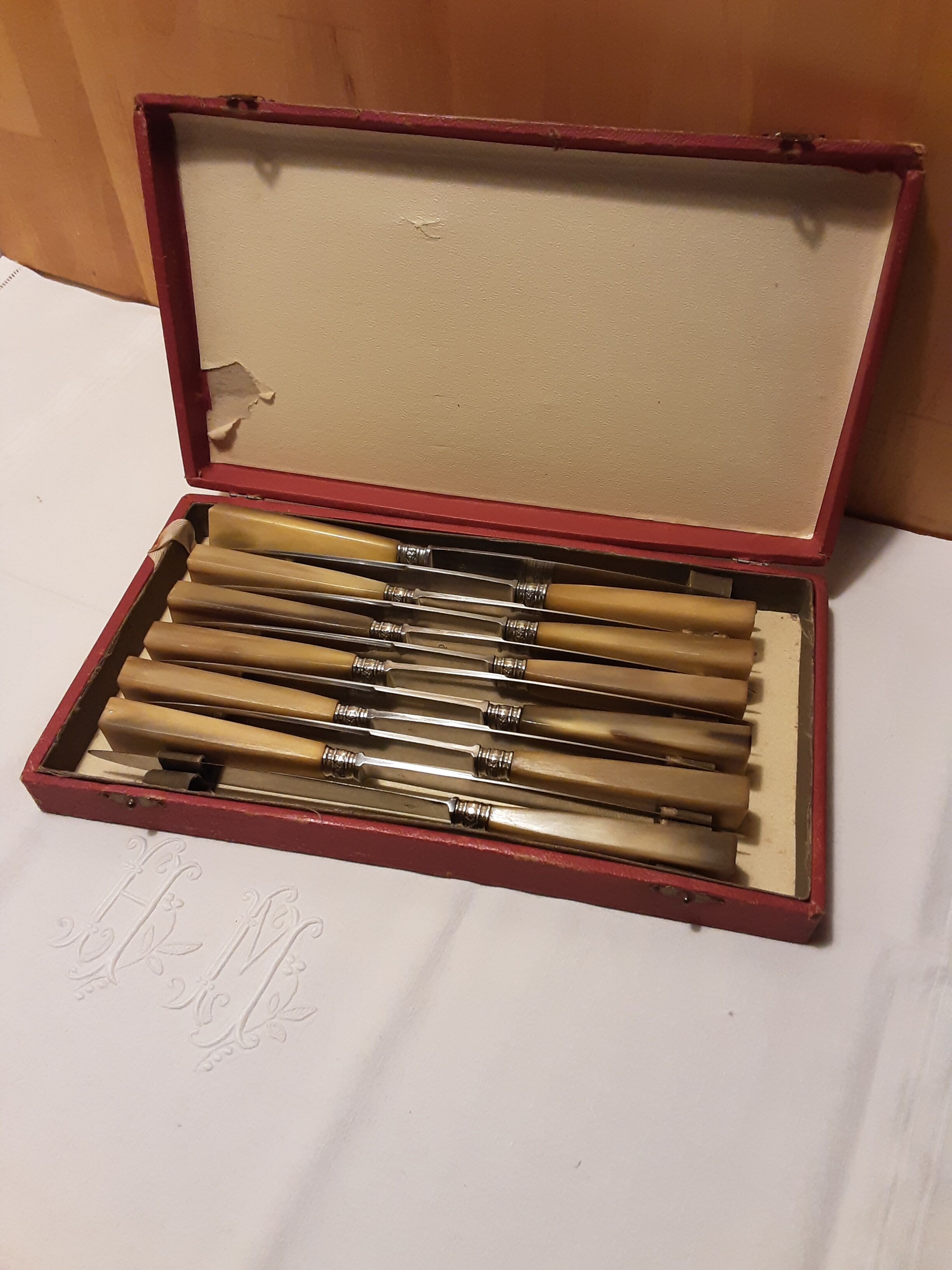 Hatch of 12 knives handle in horn and stainless steel blade