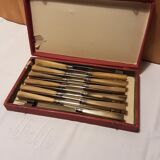 Hatch of 12 knives handle in horn and stainless steel blade