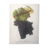 Rare vine board