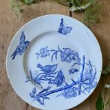 Plate decorated with blue birds and butterflies