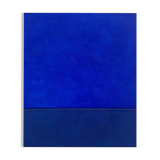 Indigo overseas horizon