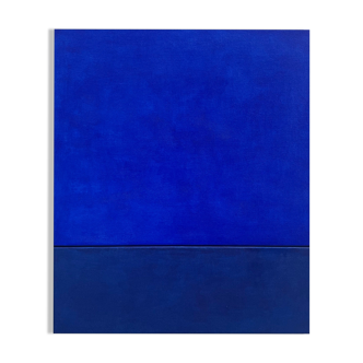 Indigo overseas horizon