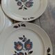 Plates Saint Amand