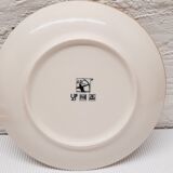 Set 5 flat speckled plates