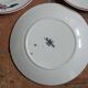 Dessert plates in Sarreguemines earthenware, floral decoration, early XX -th century