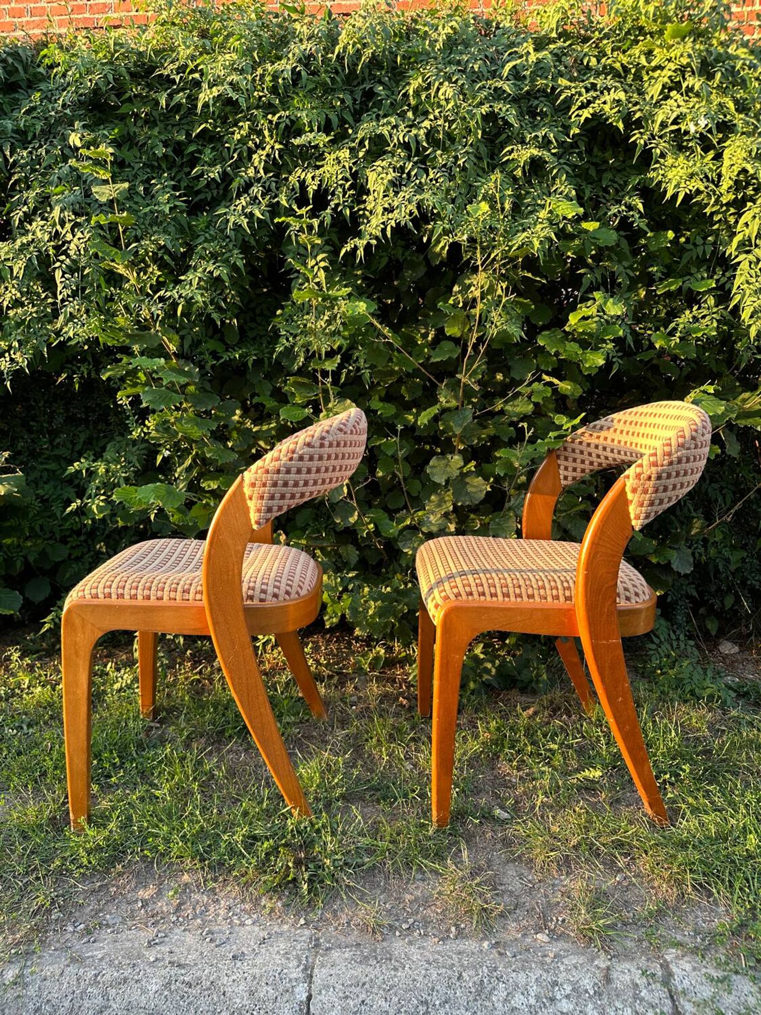 Paire de chaises vintage design années 50/60 style Baumann