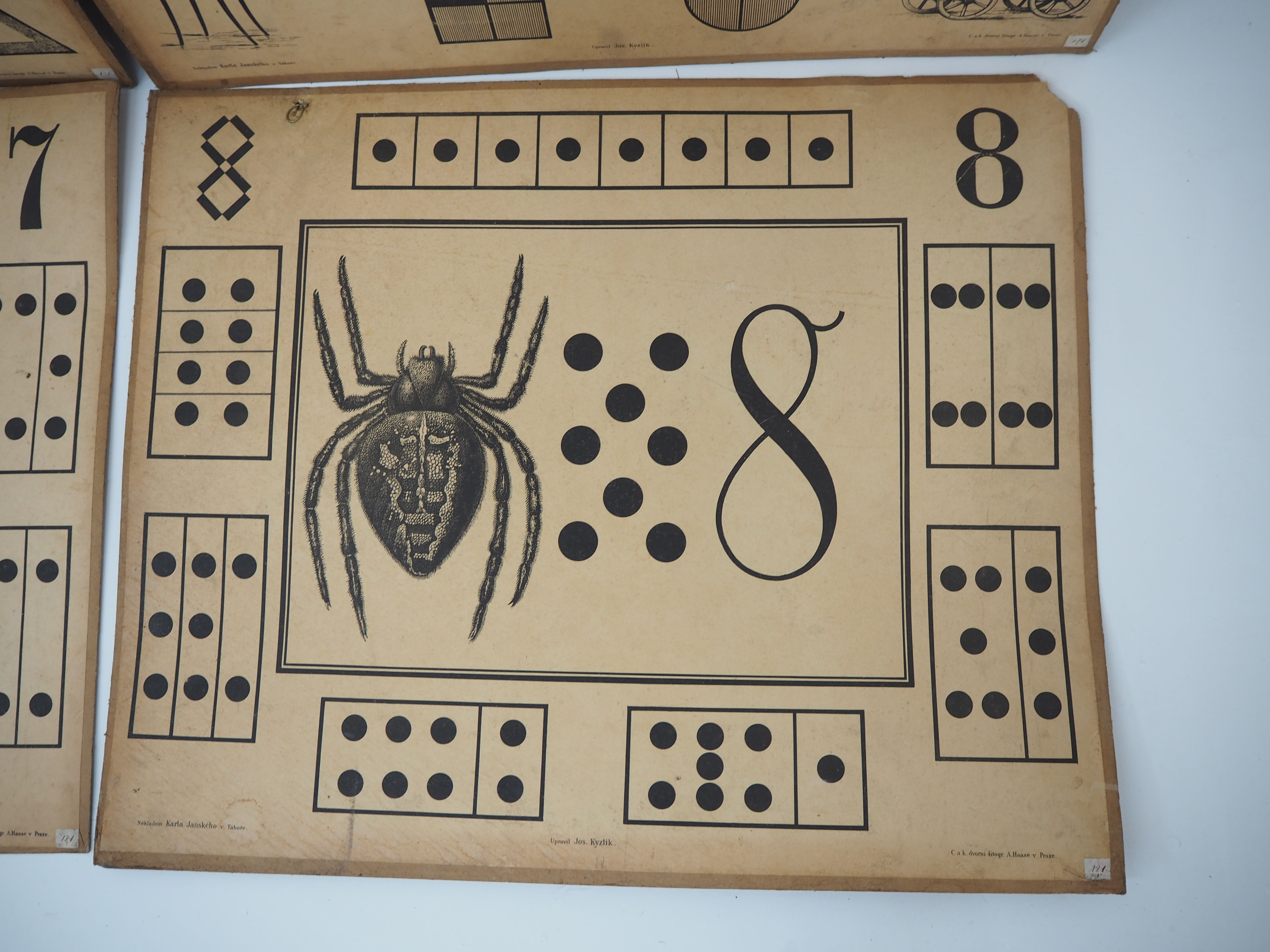 Set Of Nine Antique Teaching Posters from Litography A. Haase, Prague, 1900s