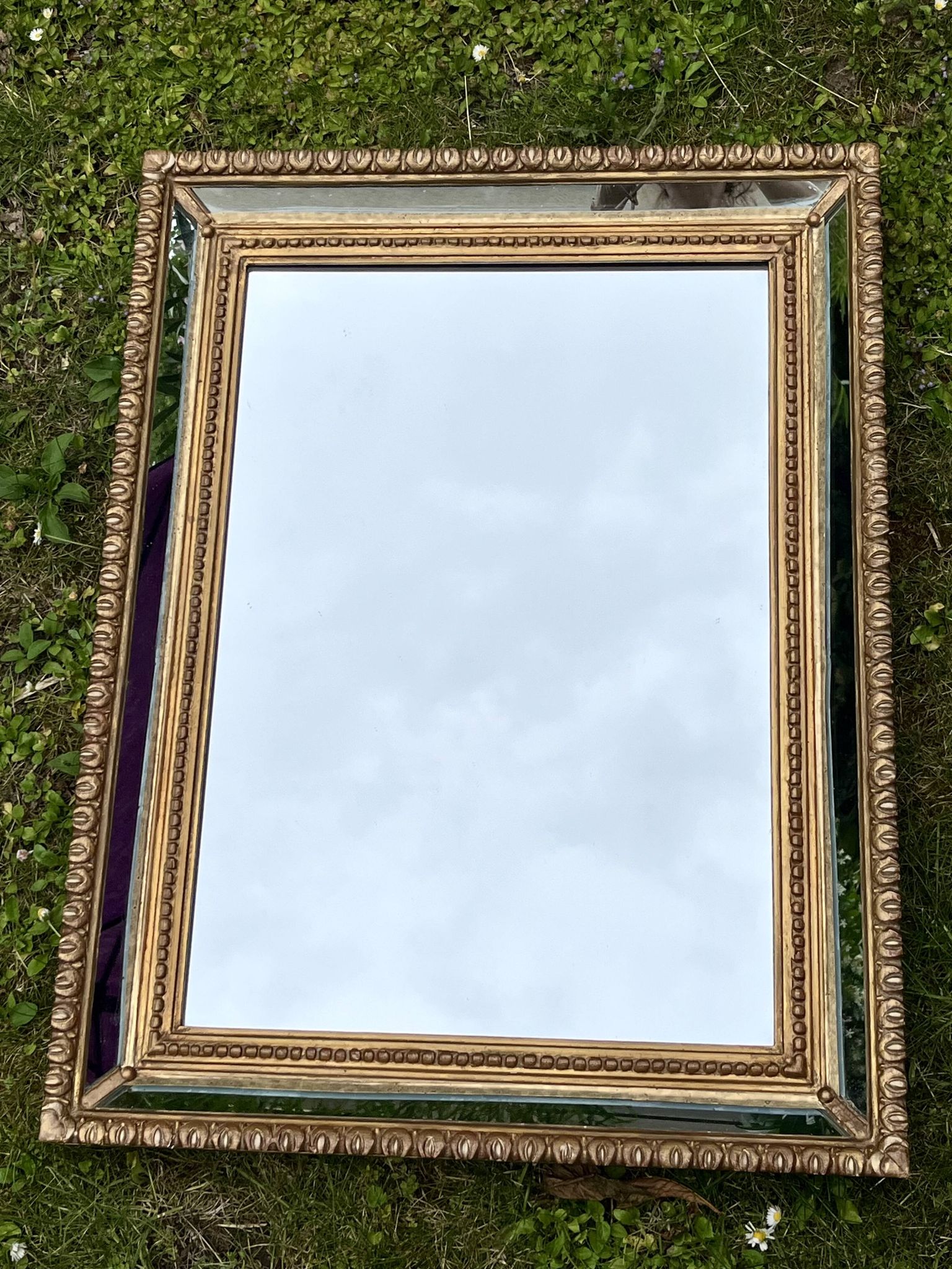 Glazing mirror - Gilded wood - Louis XVI style - Very good condition