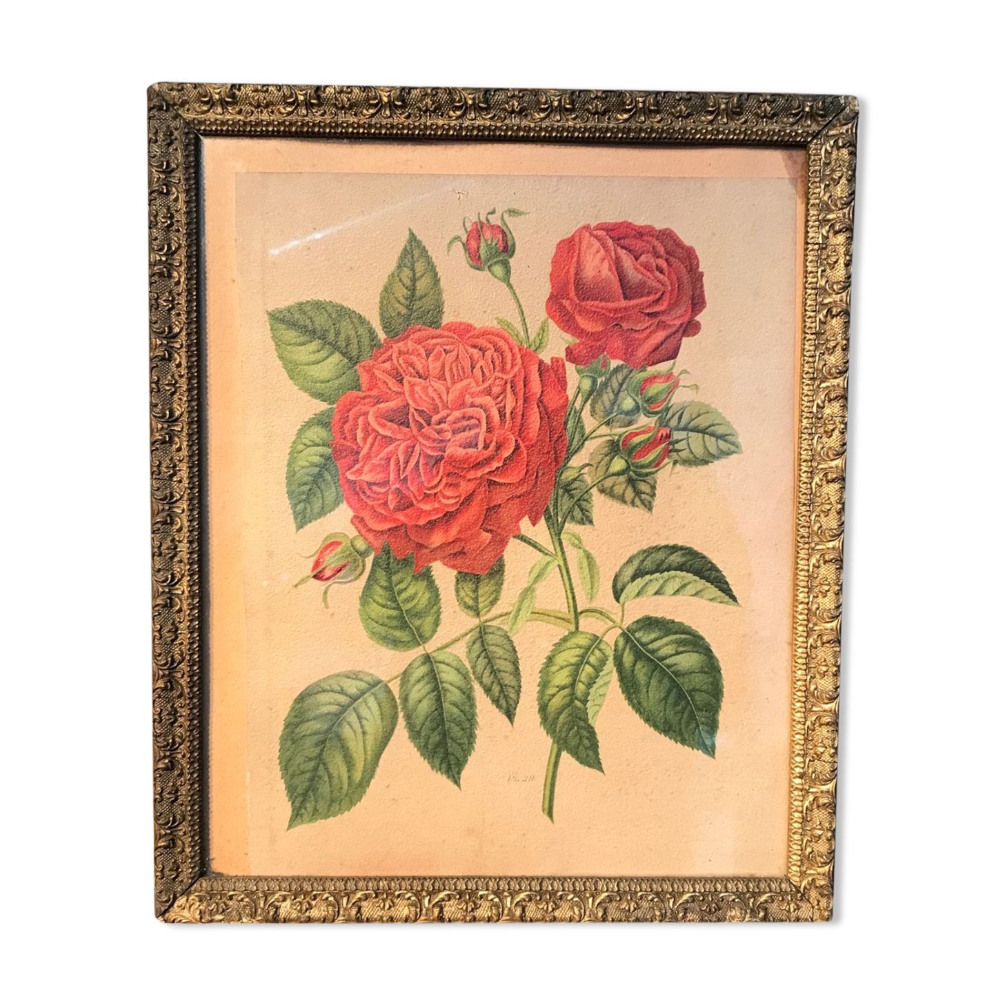 Floral lithography