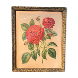 Floral lithography