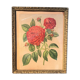 Floral lithography