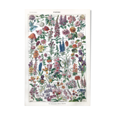Ancient botanical plank flowers