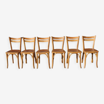 6 chairs baumann N°19 clear beech sitting cork