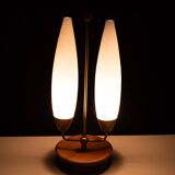 1950s Double shade Table lamp Philips