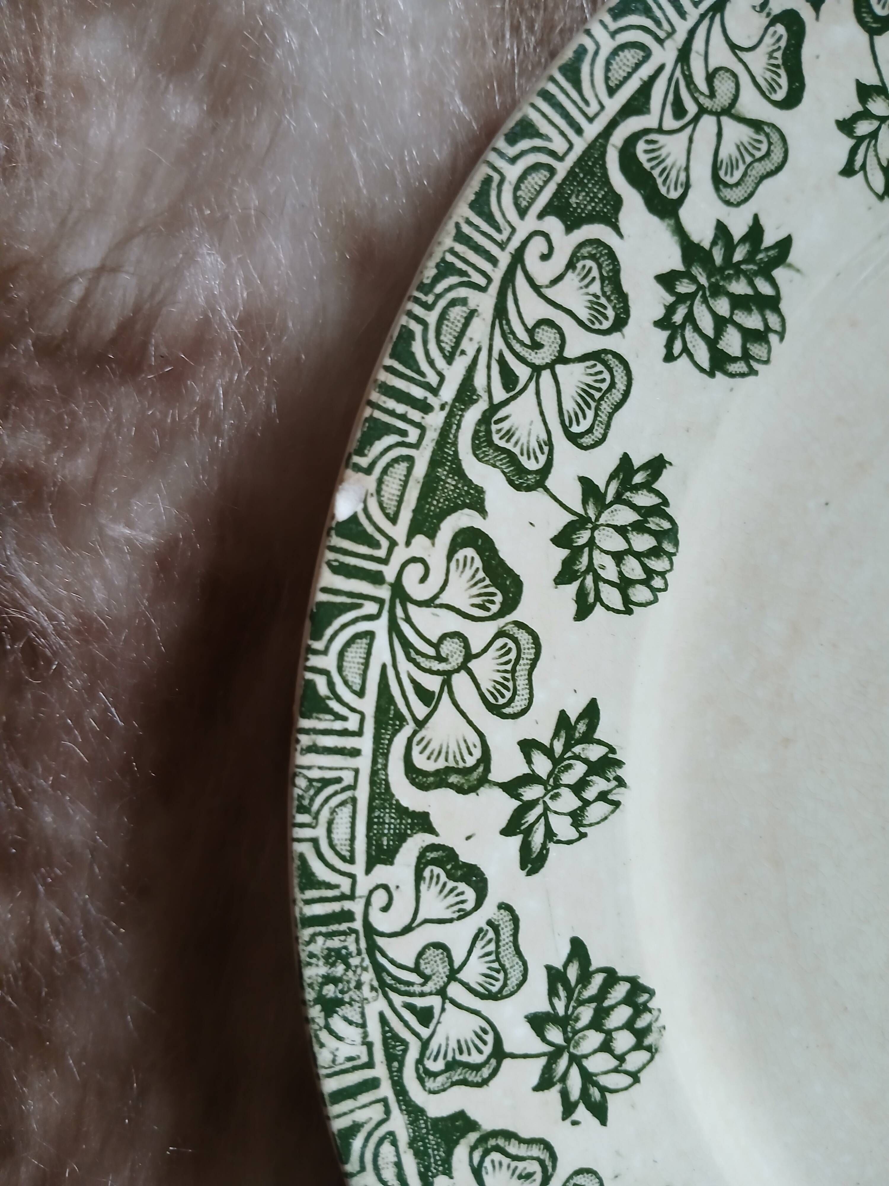 10 antique flat plates in ironstone