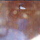 Vintage Poul Cadovius shelving unit