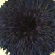 Juju hat bleu 75 cm