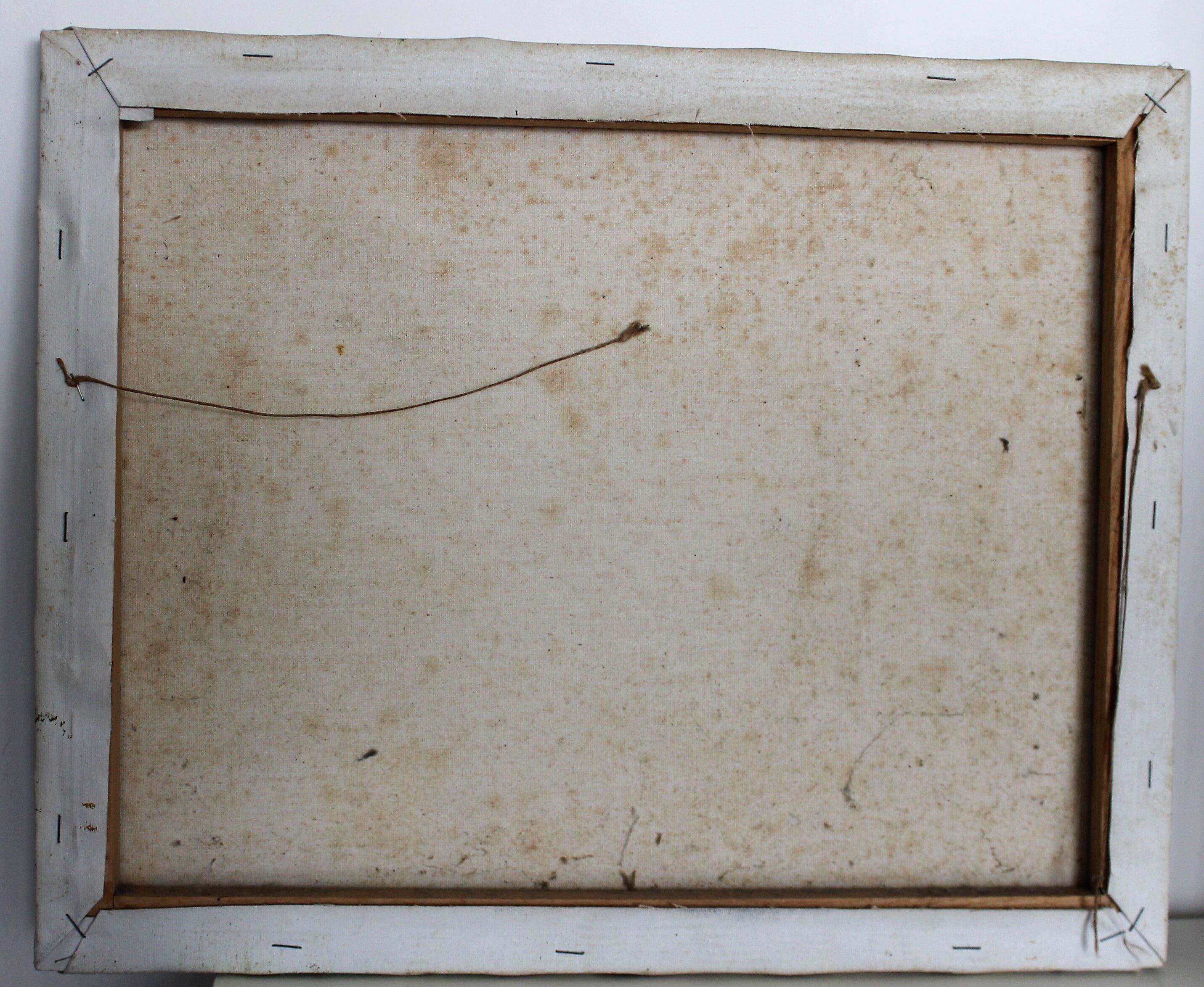 Phillip Cantrell "Michigan Forest"