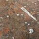1970s modernist fossil marble coffee table with wooden base