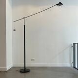 Nestore Terra XXL f