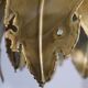 Danish brutalist brass suspension of Sven Holm Sorensen 1960