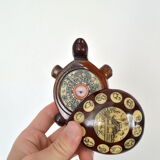 Compass turtle