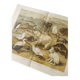 Gravure 1909 - Faune et animaux de l'Artique - Lithographie nature