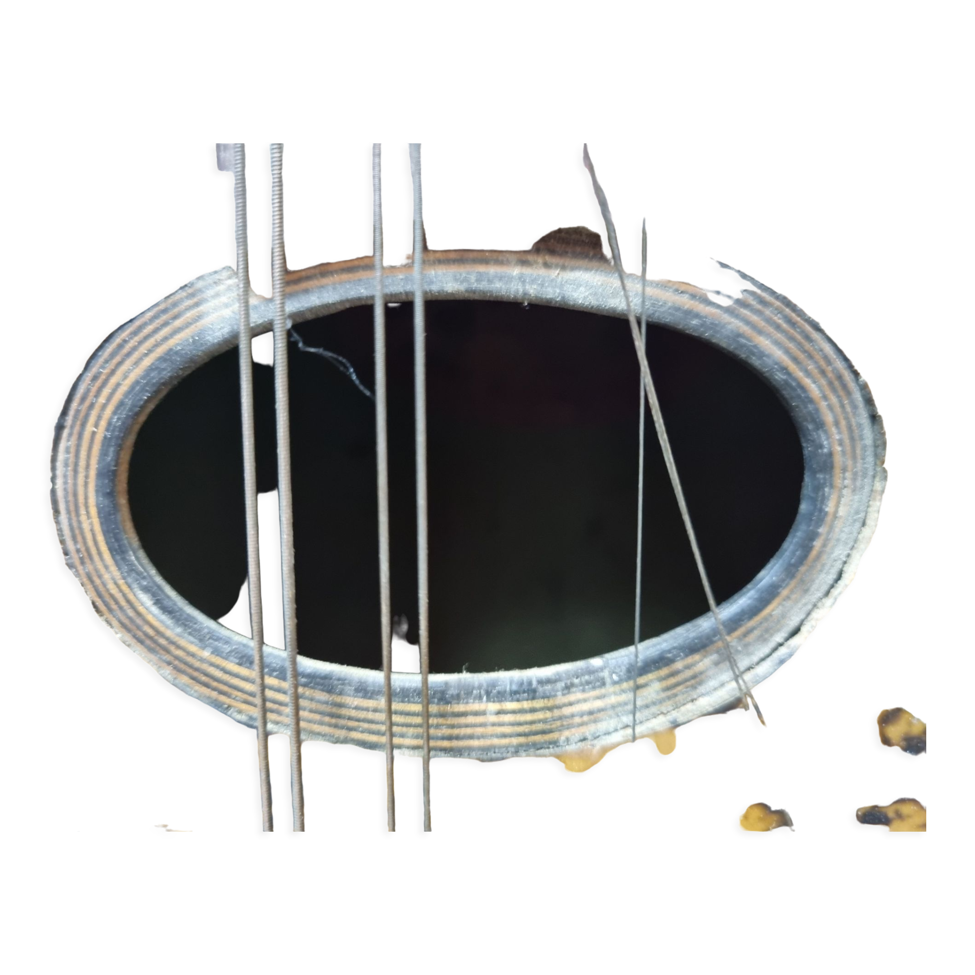 Mandolin Domenico Salvadori Napoli antico